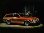 Pontiac Astre SJ Safari Wagon 1975 года